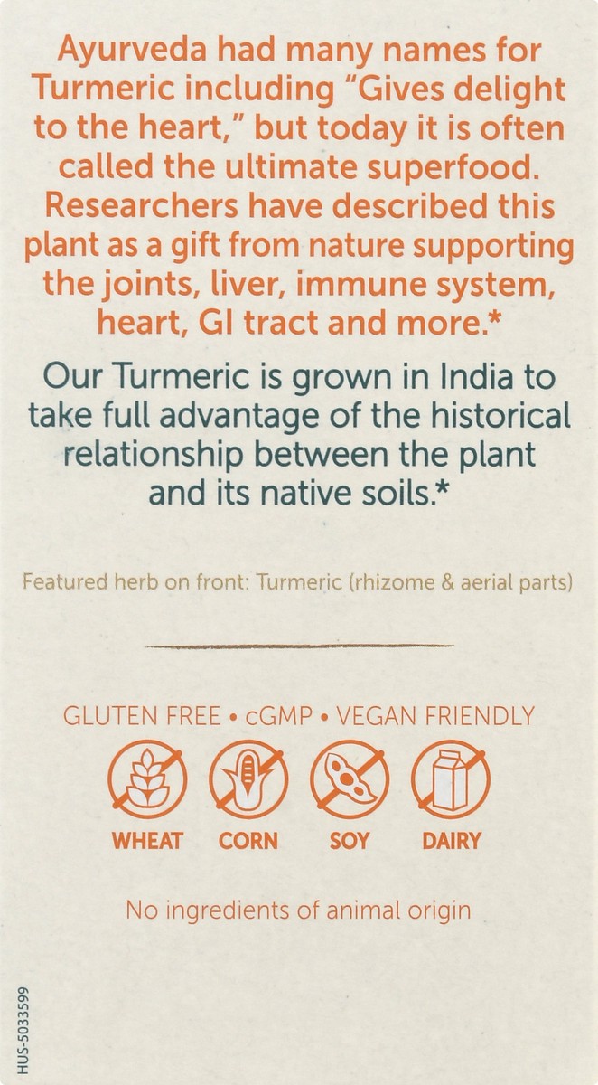 slide 4 of 12, Himalaya Vegetarian Capsules Turmeric 95 with Curcumin 60 ea, 60 ct