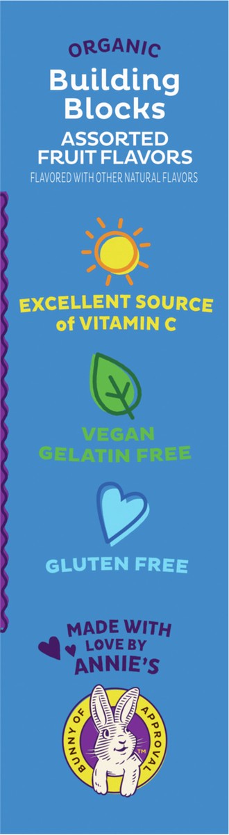 slide 10 of 14, Annie's Organic Building Blocks Fruit Flavored Snacks, Assorted Fruit Flavors, Gluten Free, 10 Pouches, 7 oz, 10 ct