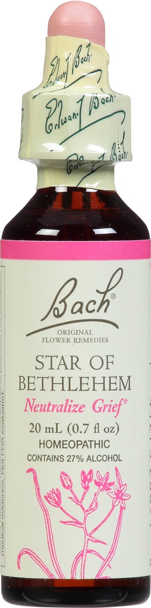 slide 11 of 11, Bach Original Flower Remedies Star of Bethlehem 0.7 fl oz, 0.7 fl oz