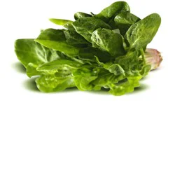 Spinach