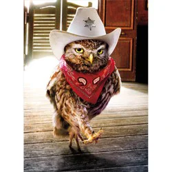 Avanti Cowboy Owl Birthday Card, 4 in x 6 in, 1 ct