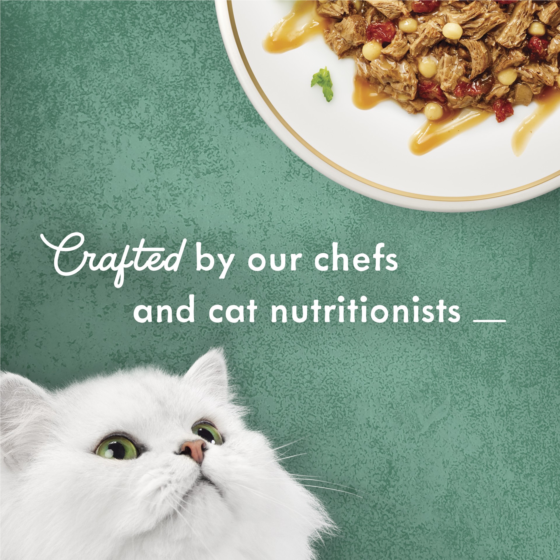 slide 6 of 6, Fancy Feast Medleys In a Savory Sauce Gourmet Beef Ragu Recipe Cat Food with Tomatoes & Pasta 3 oz, 3 oz