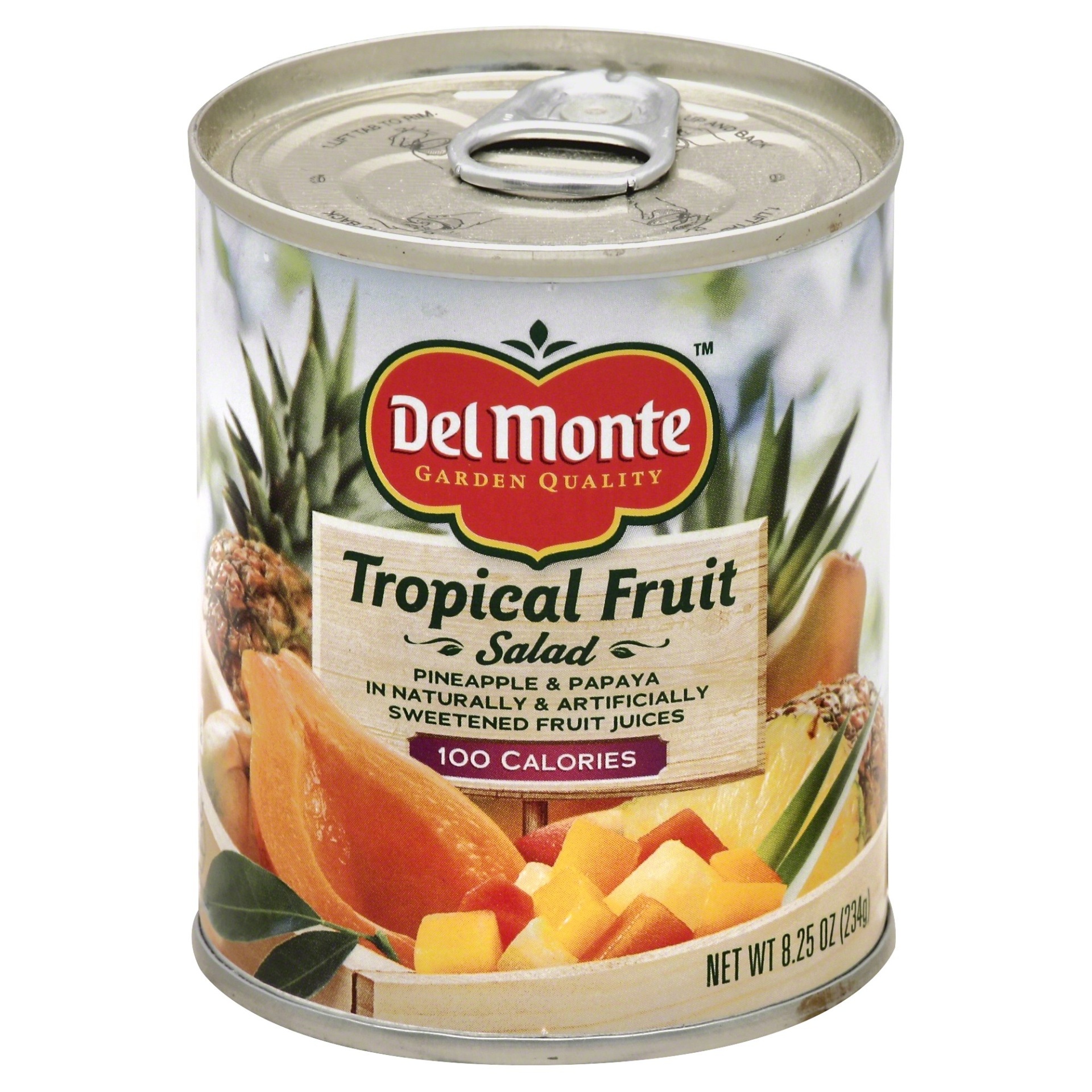 Del Monte Tropical Fruit Salad in Lightly Sweetened Fruit Juices 8.25 ...