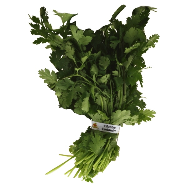 slide 1 of 1, Orgnc Plu Scale Fresh Organic Cilantro, 1 ct