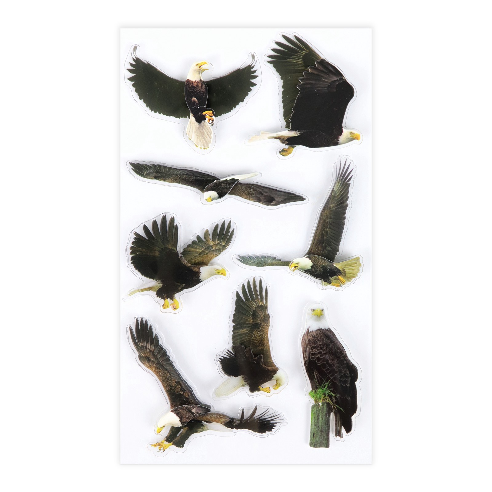 slide 5 of 5, Eagle Stickers By Recollections, 3.875 in x 7 in