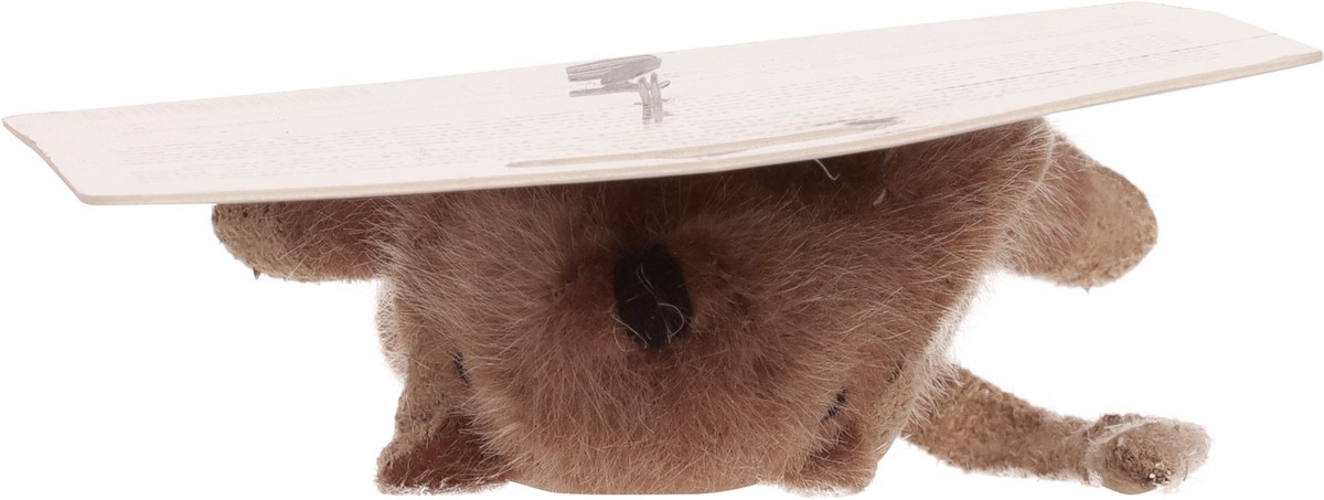 slide 3 of 12, SPOT Flat Mouse Frankie Catnip Dog Toy 1 ea, 1 ct