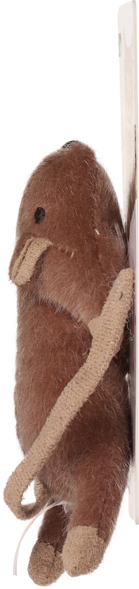 slide 7 of 12, SPOT Flat Mouse Frankie Catnip Dog Toy 1 ea, 1 ct