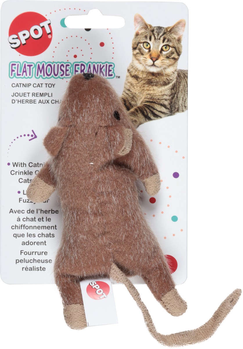 slide 8 of 12, SPOT Flat Mouse Frankie Catnip Dog Toy 1 ea, 1 ct