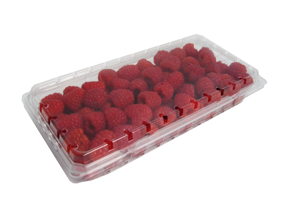 slide 1 of 1, Raspberries - Red, 12 oz
