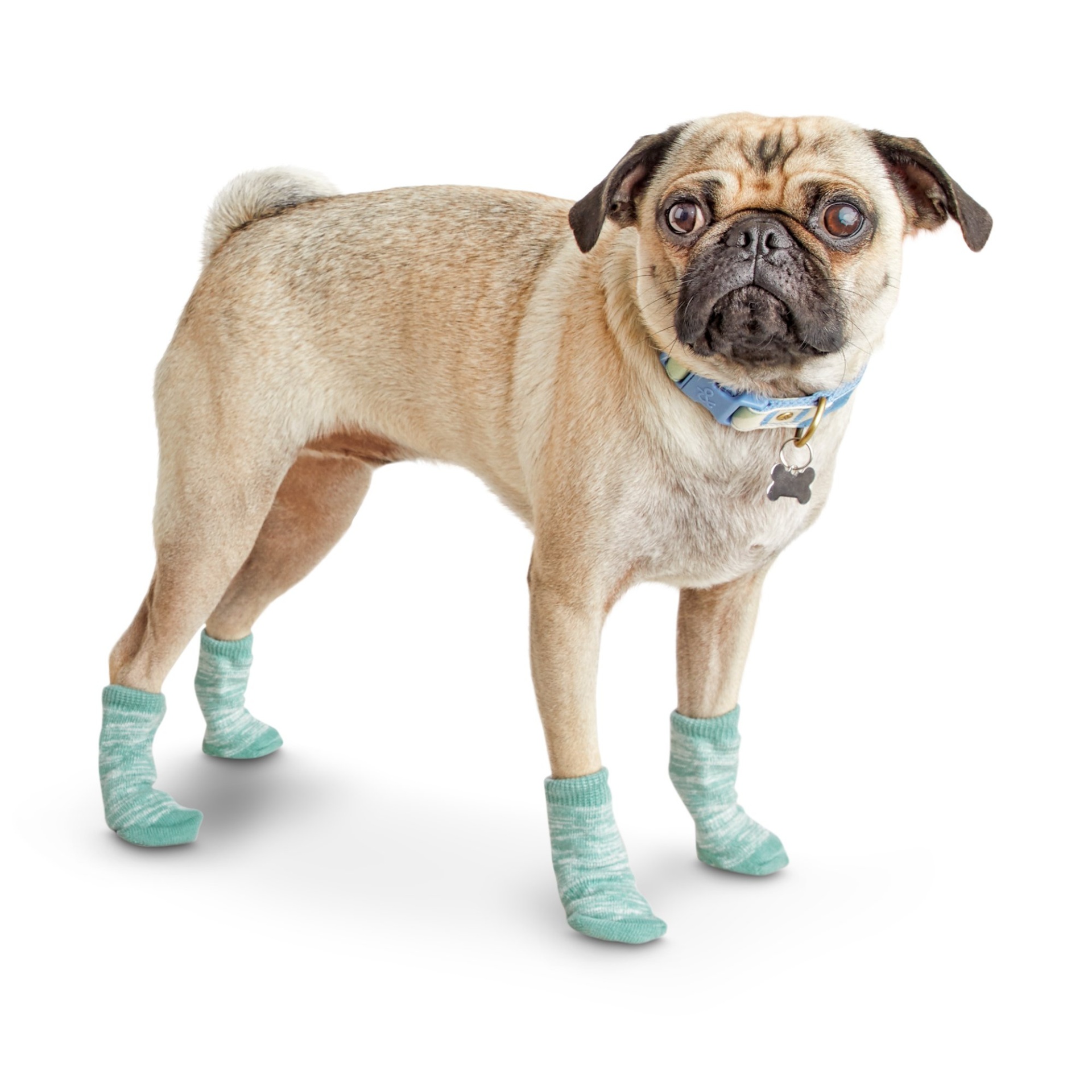 slide 1 of 1, Serenity Mint Green Peace Sign Dog Socks, MED