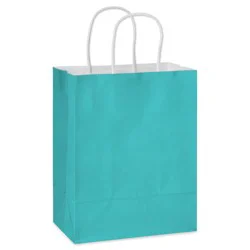 American Greetings Medium Aqua Gift Bag for All Occasions