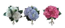 Fresh Hydrangea Medley Bouquet