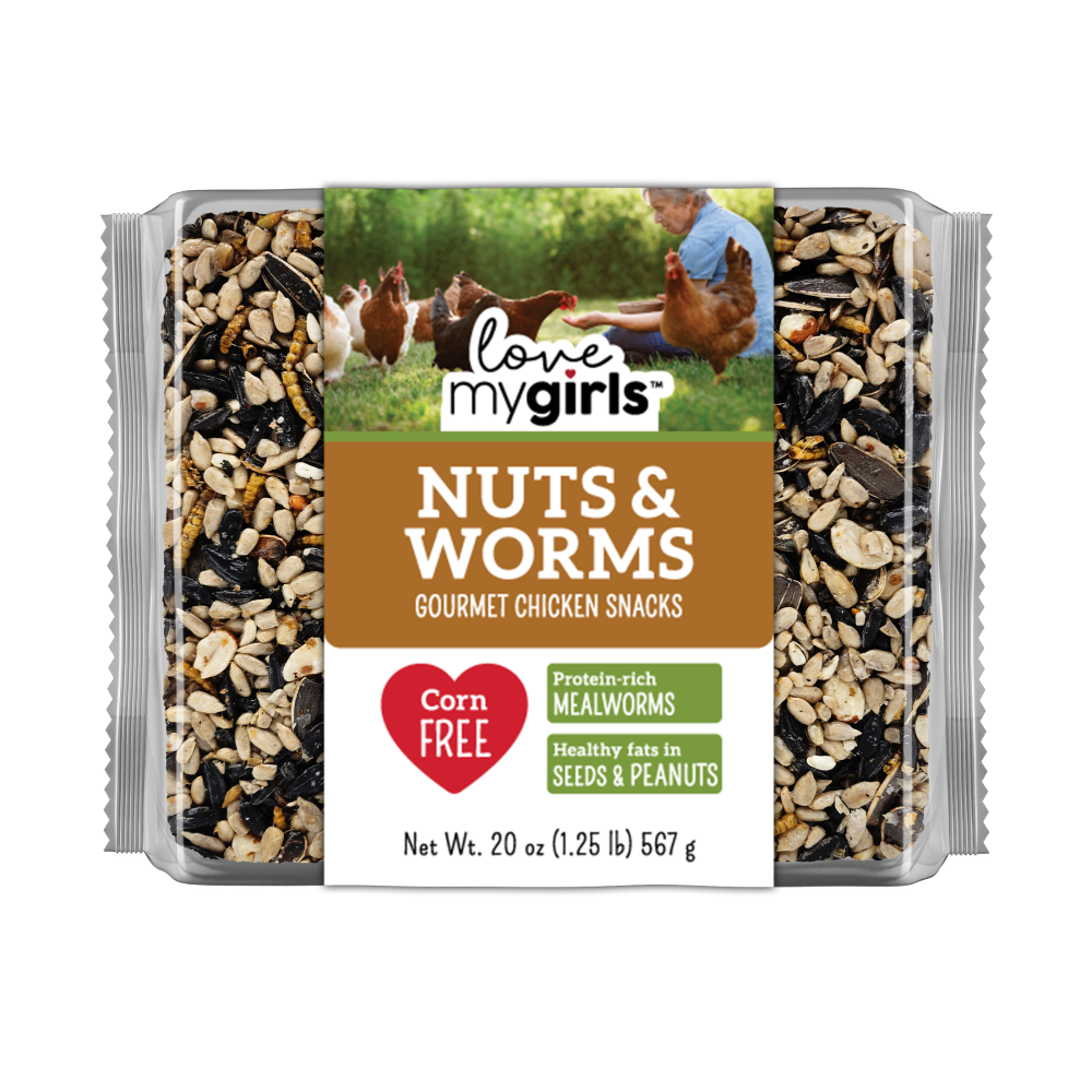 slide 1 of 1, Audubon Park Nuts & Worms Chicken Cake Bird Food, 20 oz