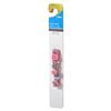 slide 26 of 29, Meijer Kitten Collar Adjustable, 2 Styles, 6-8 in, 1 ct