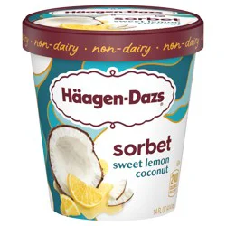 Häagen-Dazs Non-Dairy Sweet Lemon Coconut Sorbet 14 fl oz
