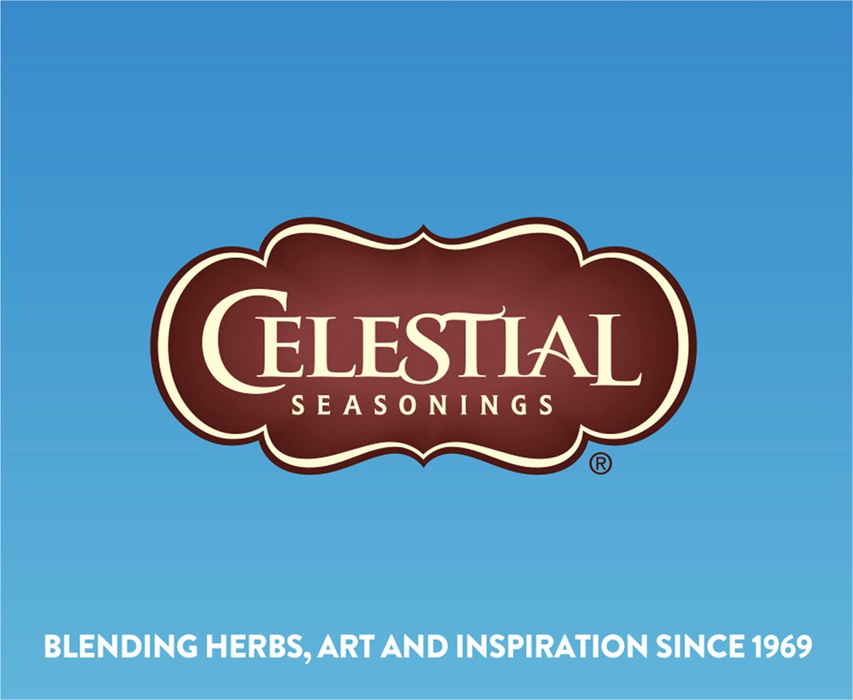 slide 8 of 11, Celestial Seasonings Citrus Cold Brew Iced Tea Herbal - 18 ct, 18 ct