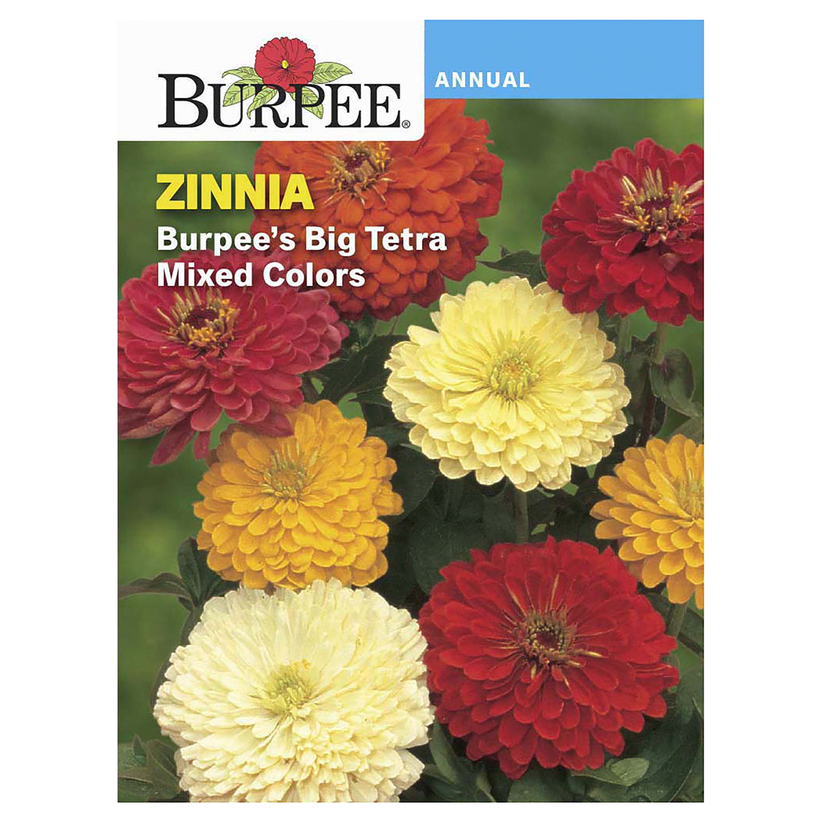 slide 1 of 5, Burpee Zinnia Big Tetra Mix Seeds - Multi-Color, 1 ct