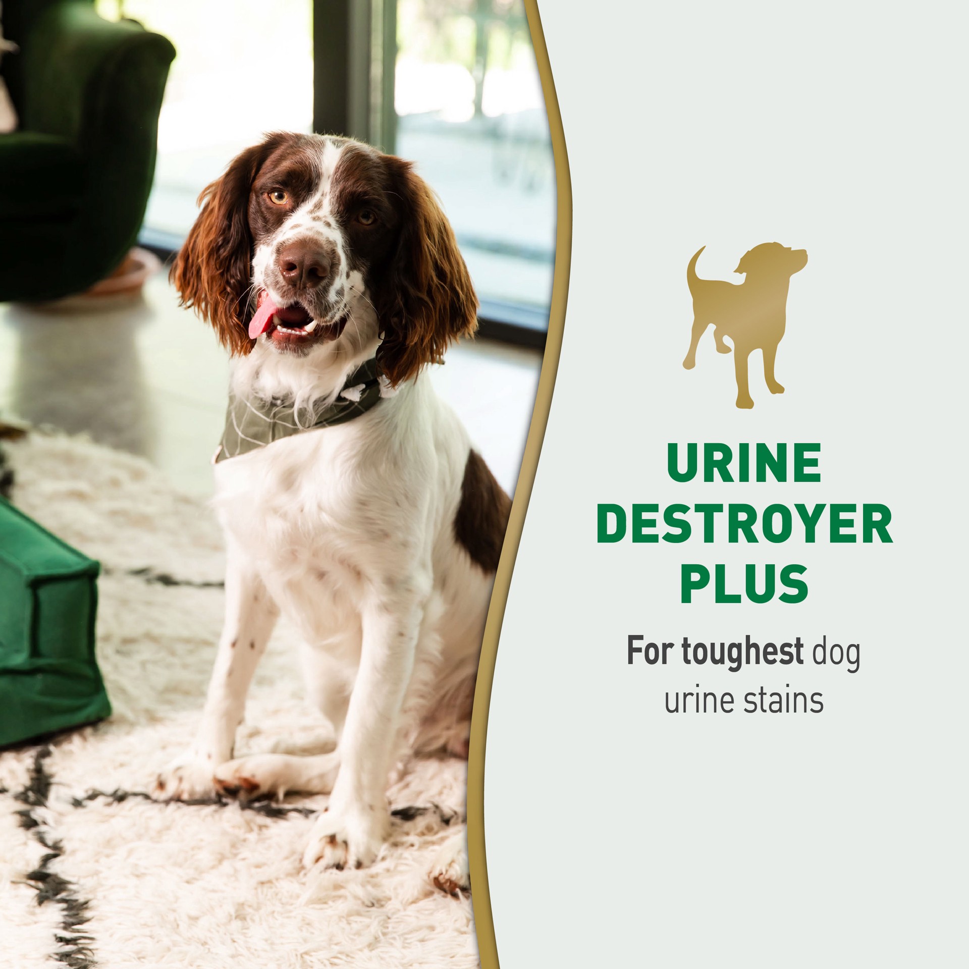 slide 3 of 9, Nature's Miracle Urine Destroyer Plus for Dogs, 17.5 Ounces, Foaming Aerosol for Tough Urine Messes, 1.35 lb