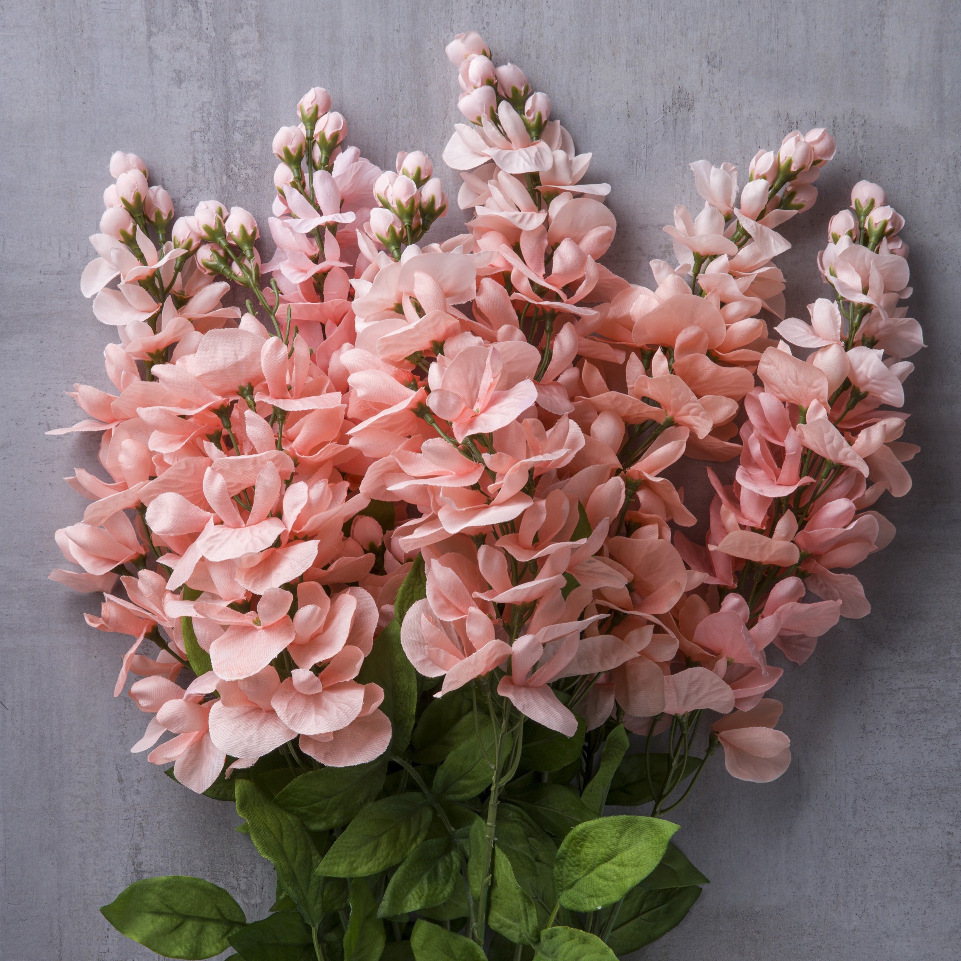 slide 3 of 3, Coral Wisteria Bush By Ashland, 25 in x 15 in x 25 in