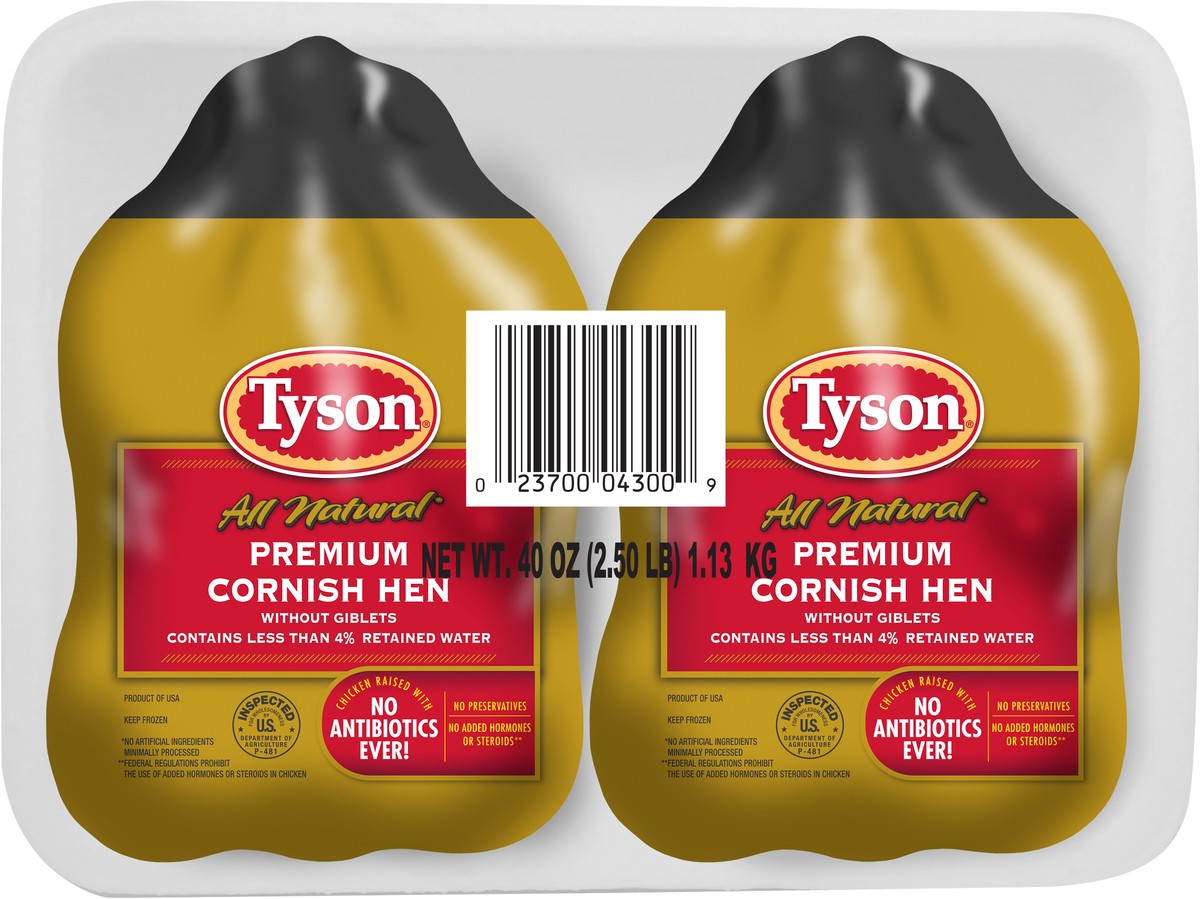 slide 3 of 4, Tyson All Natural* Premium Cornish Hen Without Giblets Twin Pack, 2 ct