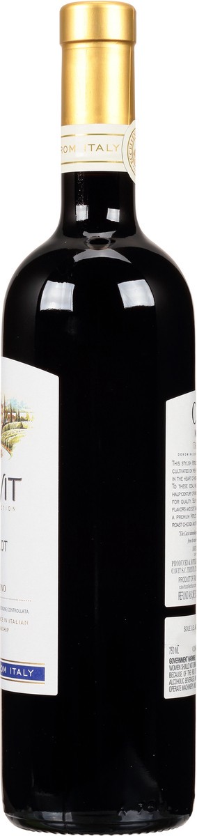 slide 7 of 7, Cavit Merlot, 750 ml