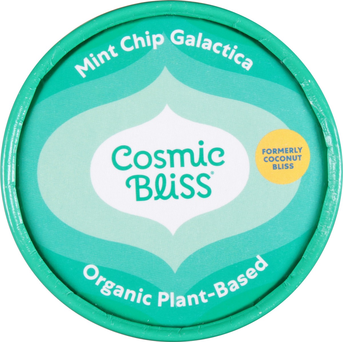 slide 6 of 9, Cosmic Bliss Mint Chip Galactica Ice Cream, 1 pint