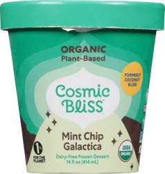 Cosmic Bliss Mint Chip Galactica Ice Cream