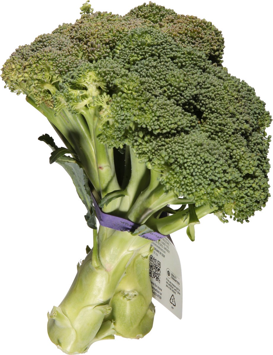 slide 5 of 14, Full Circle Market Organic Broccoli 1 ea, 1 ea