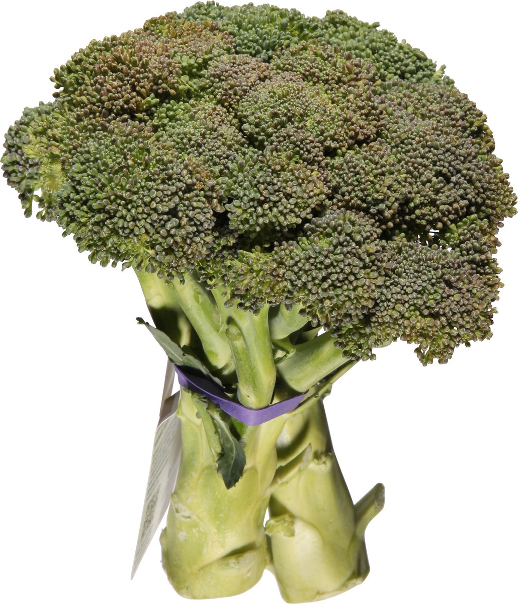 slide 6 of 14, Full Circle Market Organic Broccoli 1 ea, 1 ea