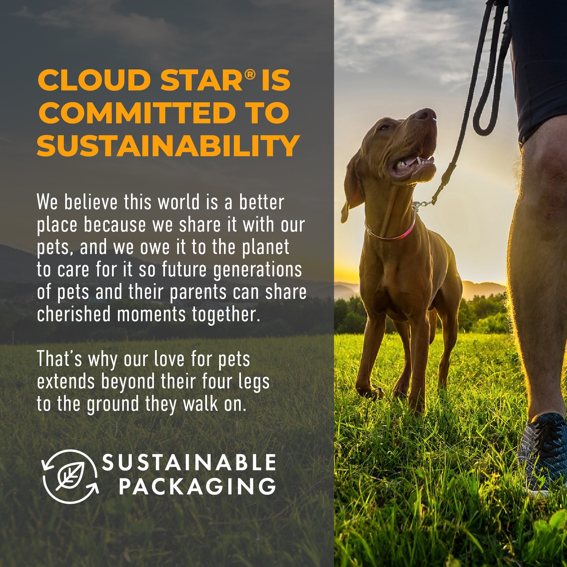 slide 4 of 4, Cloud Star Cheddar, 8 oz