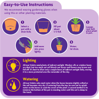 slide 7 of 9, Miracle-Gro African Violet Potting Mix, 8 qt