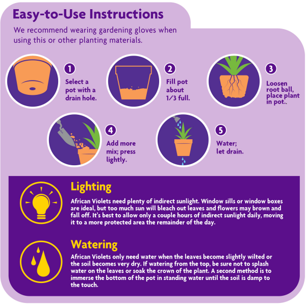 slide 5 of 9, Miracle-Gro African Violet Potting Mix, 8 qt