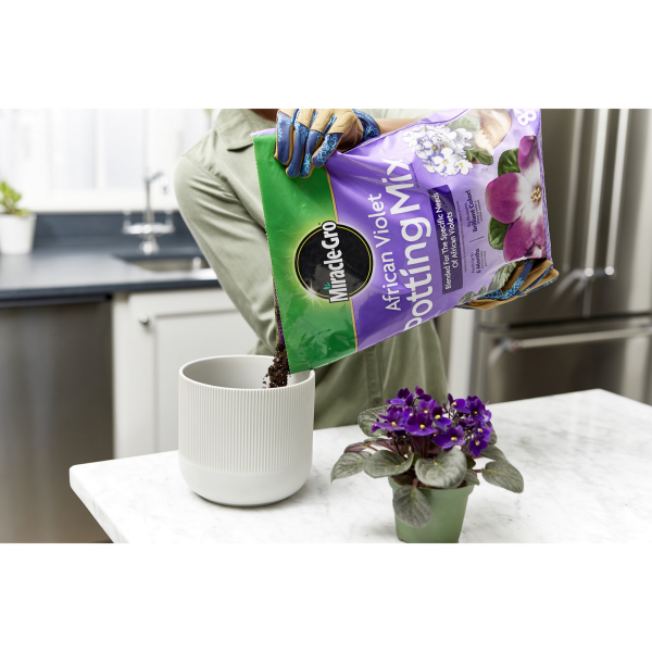 slide 8 of 9, Miracle-Gro African Violet Potting Mix, 8 qt