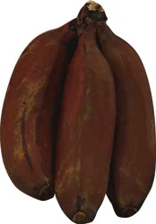 Red Bananas
