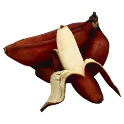 Red Bananas