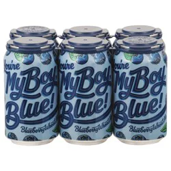 Brewbus You're My Boy Blueberry 4/6/12 Cans