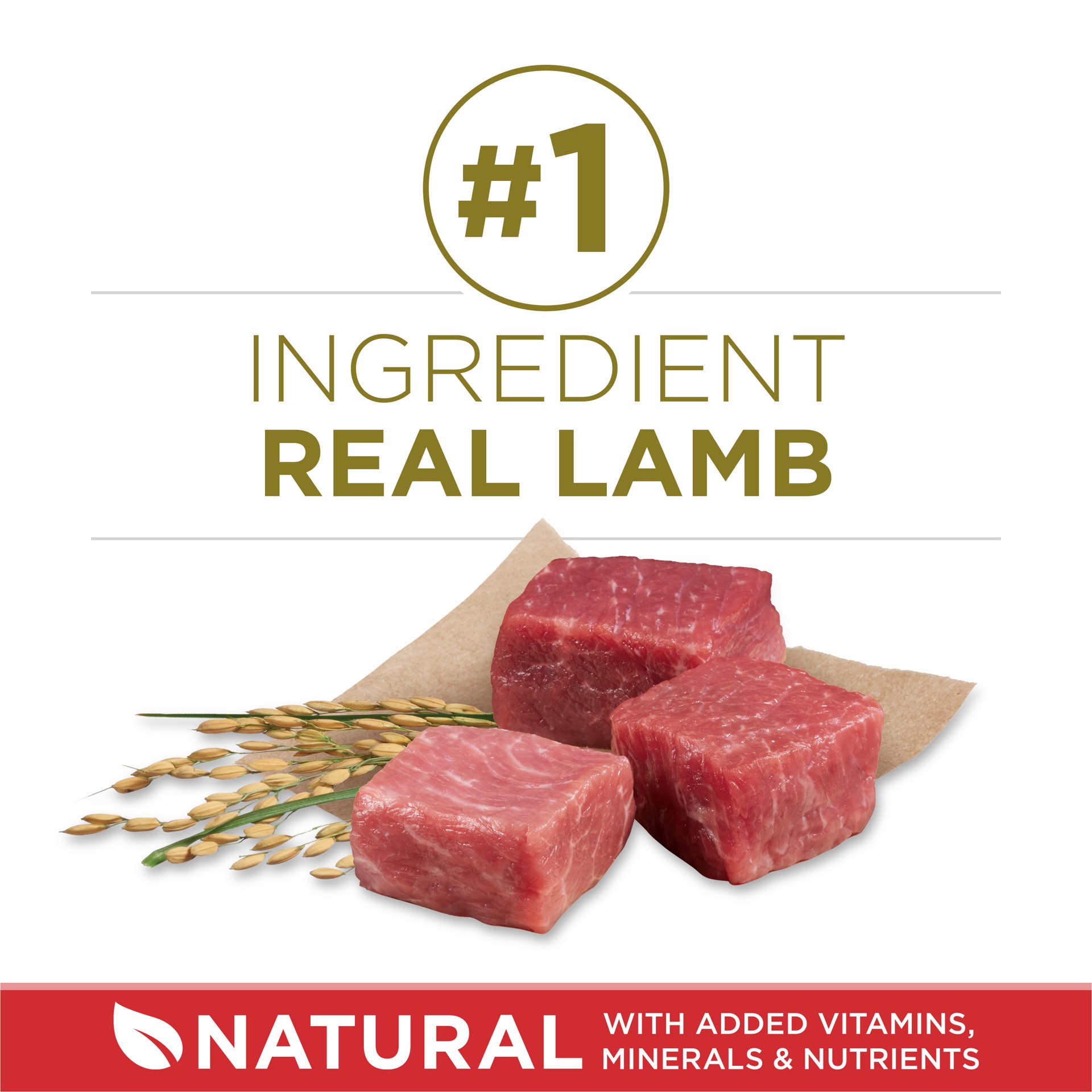 slide 4 of 9, Purina ONE Natural Dry Dog Food, SmartBlend Lamb & Rice Formula - 8 lb. Bag, 8 lb