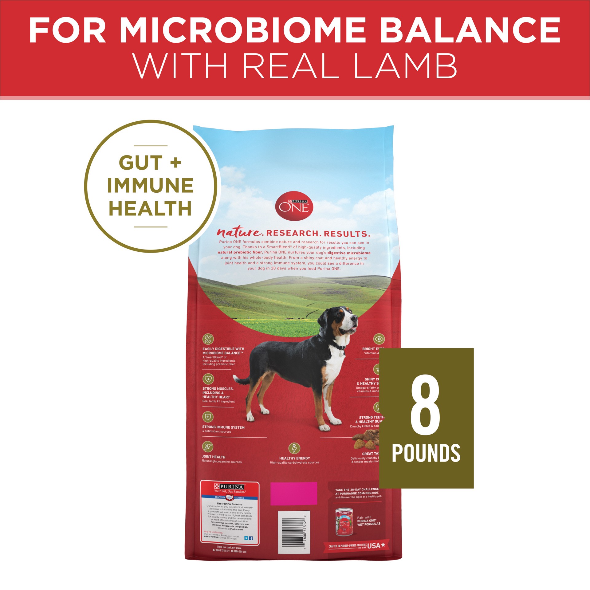 slide 3 of 9, Purina ONE Natural Dry Dog Food, SmartBlend Lamb & Rice Formula - 8 lb. Bag, 8 lb