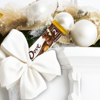 slide 8 of 29, DOVE Milk Chocolate Peanut Butter Reindeer Christmas Candy Bars, 2 Ct, 2.2 Oz Pack, 2.2 oz