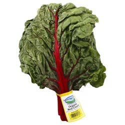 Lakeside Organic Gardens Red Chard 1 ea