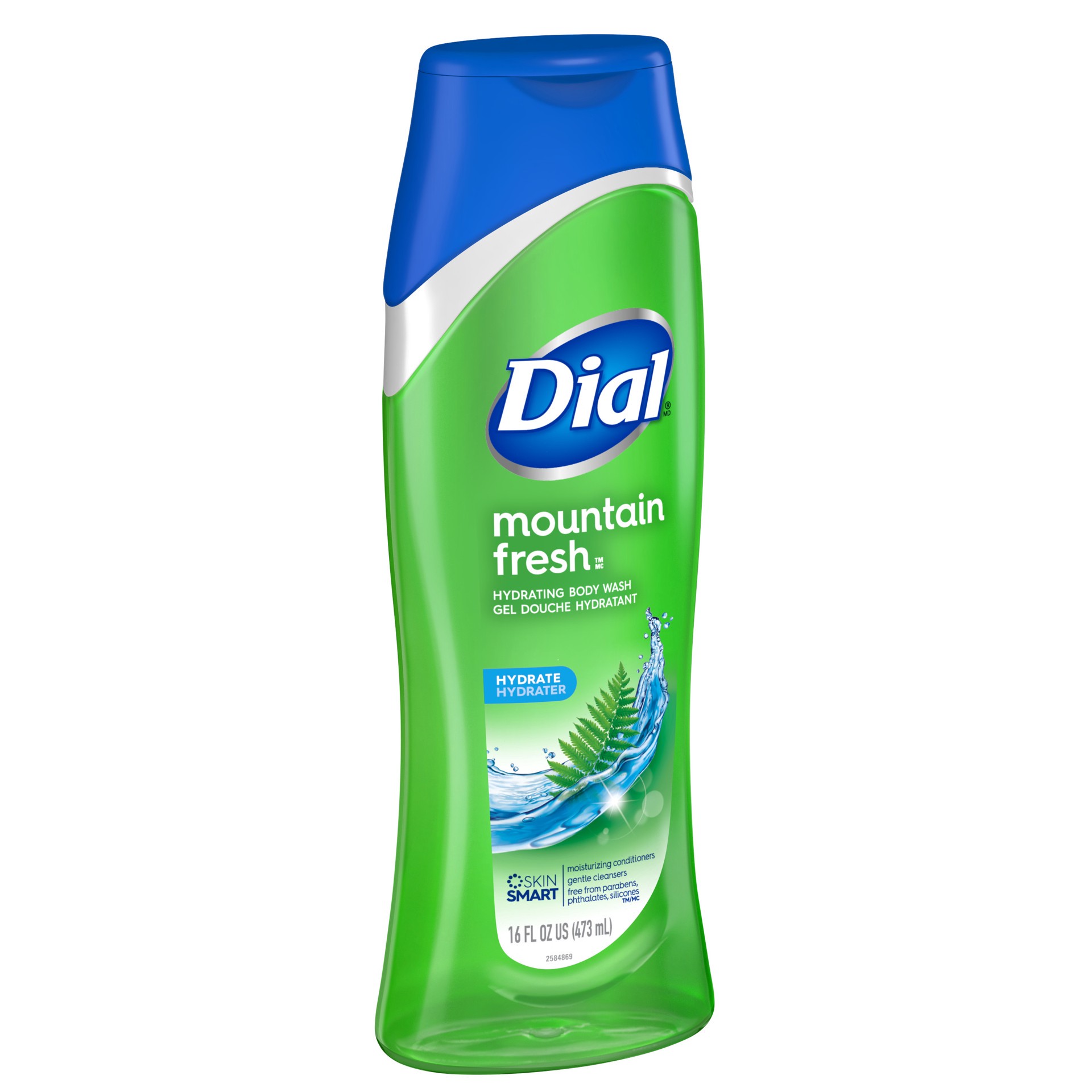 slide 3 of 5, Dial Body Wash, Mountain Fresh, 16 fl oz, 16 fl oz