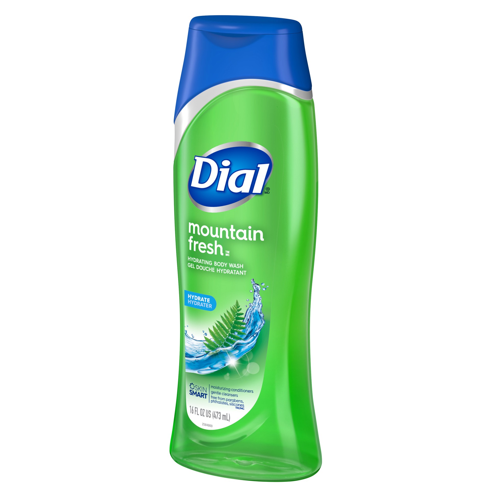 slide 4 of 5, Dial Body Wash, Mountain Fresh, 16 fl oz, 16 fl oz