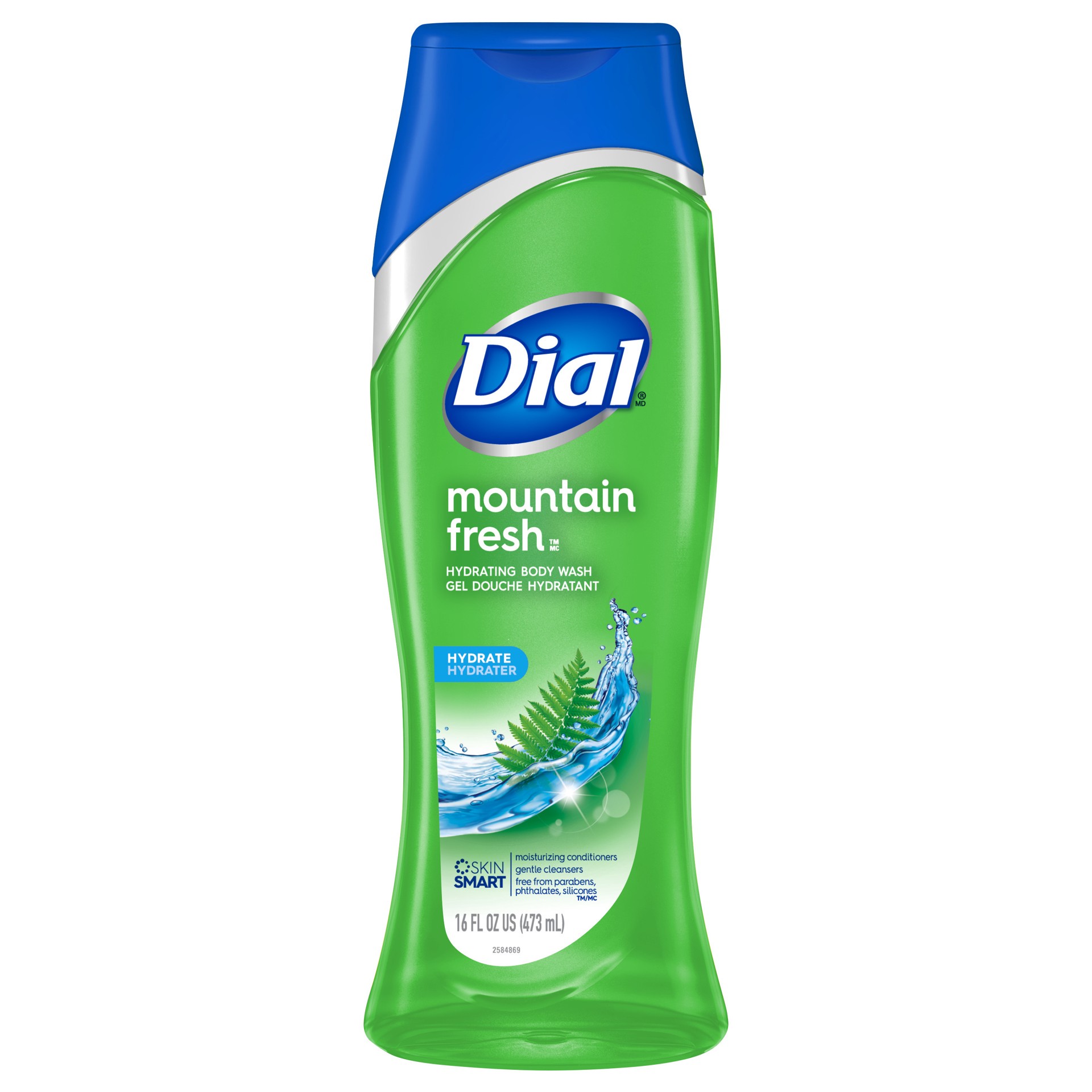 slide 1 of 5, Dial Body Wash, Mountain Fresh, 16 fl oz, 16 fl oz