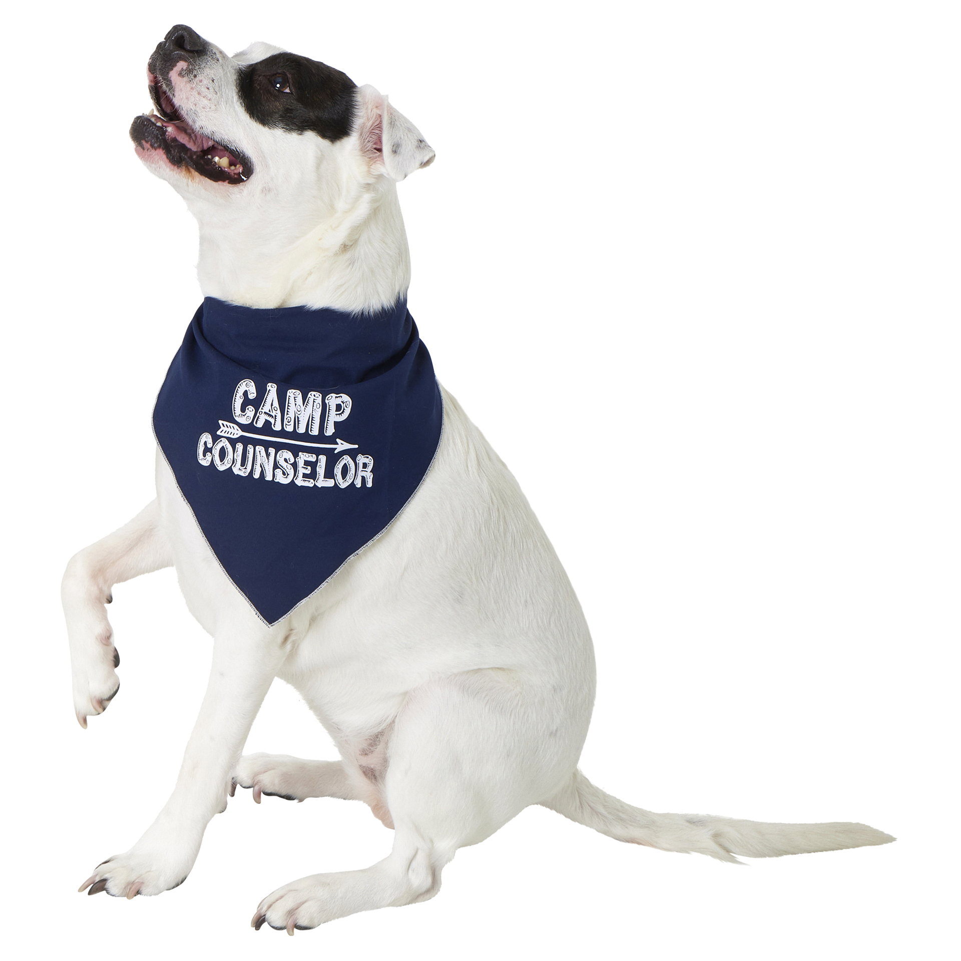 Camp Dog Bandana