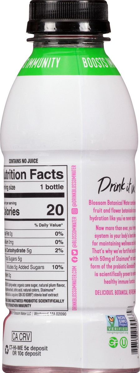 slide 6 of 9, Blossom Water Plum Jasmine Botanical Water - 16.9 fl oz, 16.9 fl oz