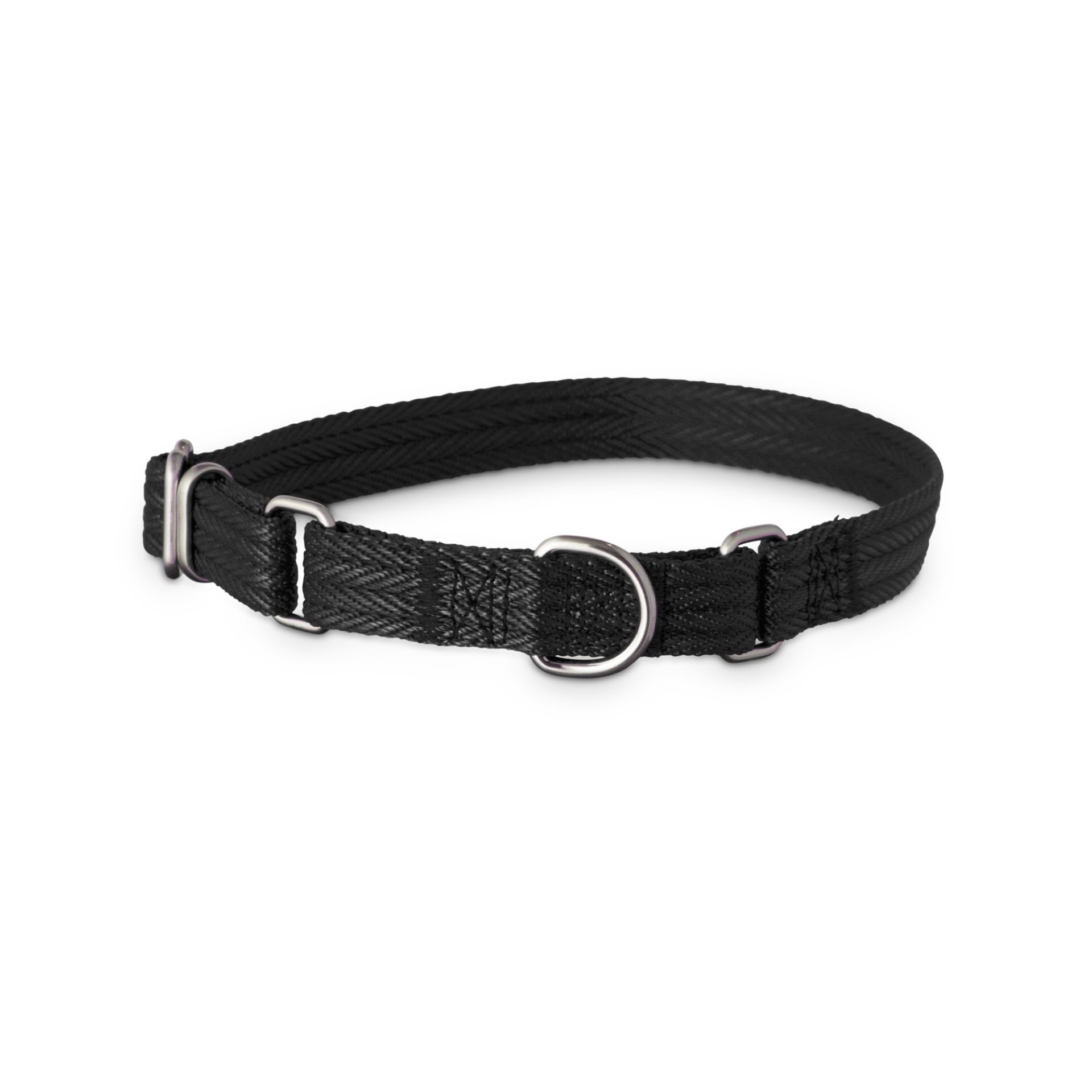 Good2go dog hot sale collar