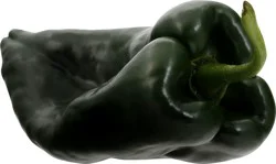 Fresh Poblano Peppers