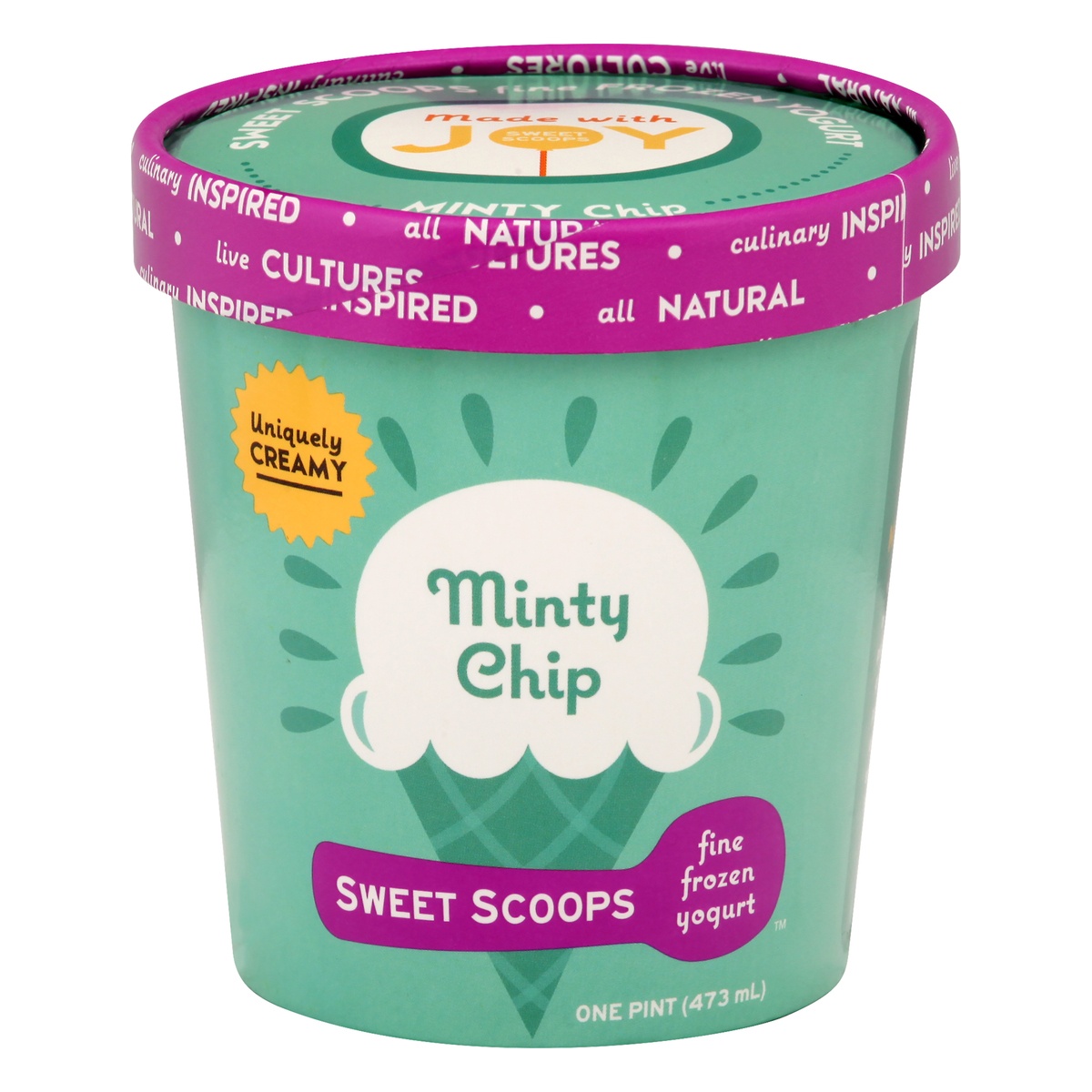slide 1 of 1, Sweet Scoops Mint Chocolate Chip Frozen Yogurt, 16 fl oz