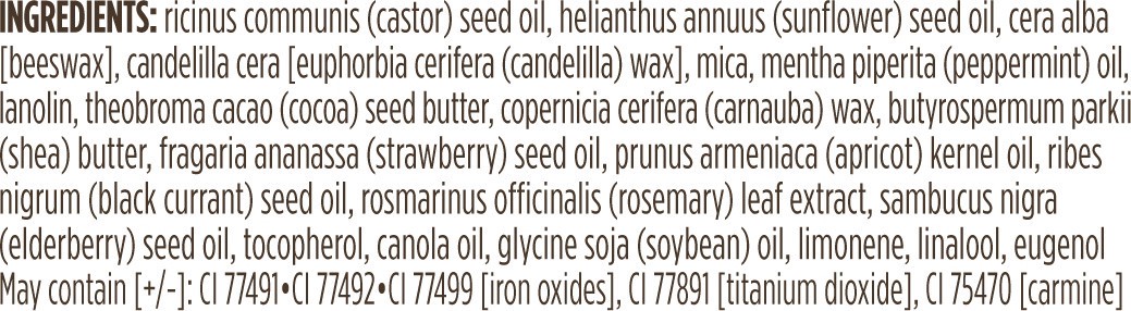 slide 3 of 5, Burt's Bees Caramel Lip Shimmer 0.09 oz, 0.09 oz