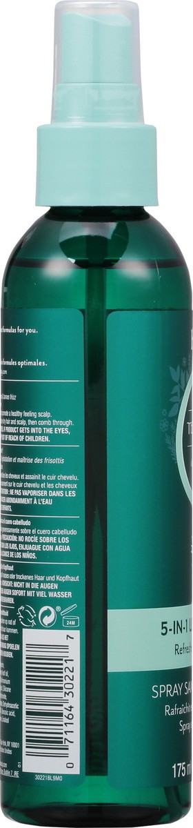 slide 6 of 10, Hask Tea Tree Oil & Rosemary 5-In-1 Leave-In Spray, 6 oz